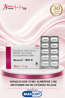 pcd pharma company in gujarat